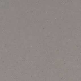 fossil gray quartz